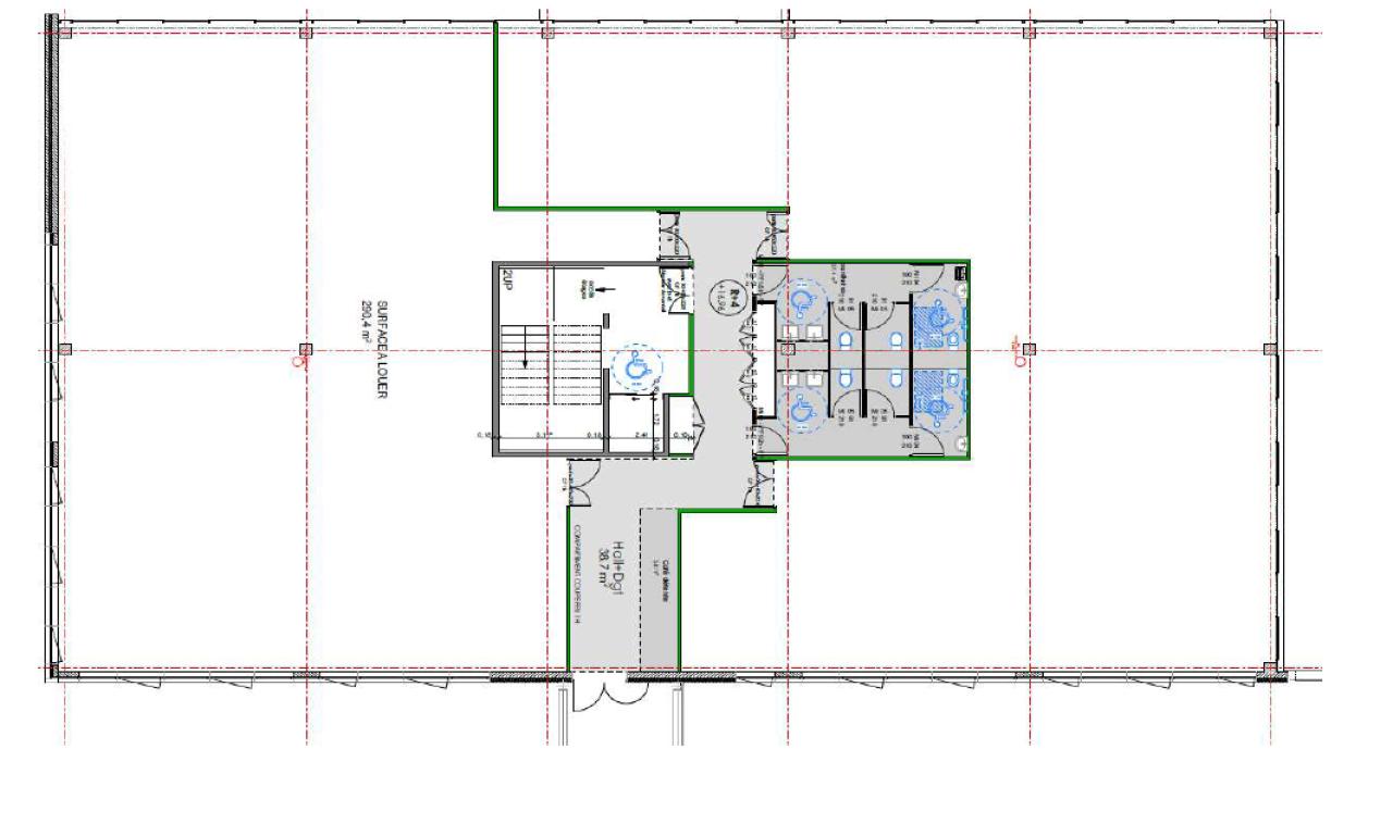 Bureau Toulouse 330m² Location bureau Toulouse Haute-Garonne OLBUR2200761 5